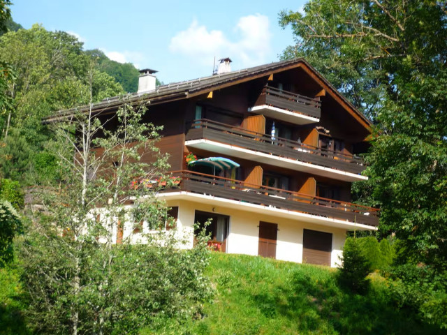 Tardevant n° 31_Le Grand-Bornand
