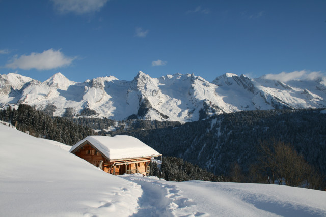 Chalet Ve Messelly - © Perrillat Guy Chalet Ve Messelly