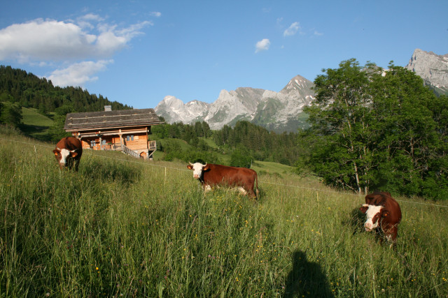 Chalet Ve Messelly - © Perrillat Guy Chalet Ve Messelly