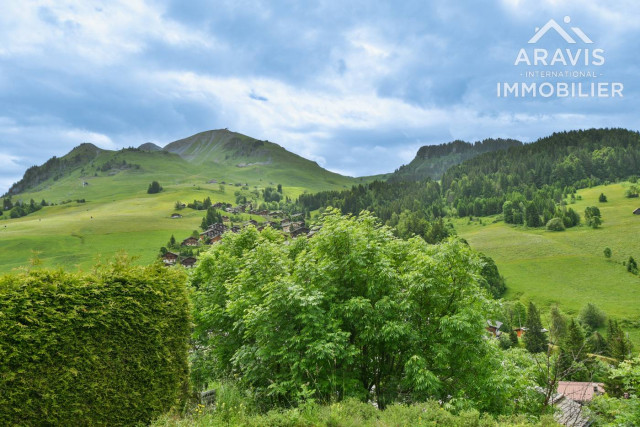 _clients_227445001_photos_170j_4636708