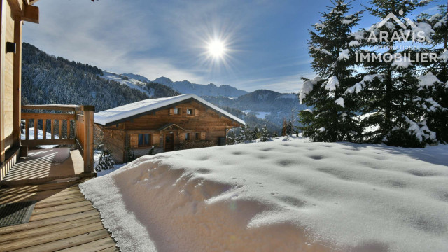 _clients_227445001_photos_172ay_4636779