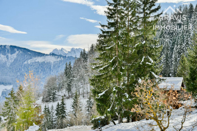 _clients_227445001_photos_206as_4636966 _clients_227445001_photos_206as_4636966