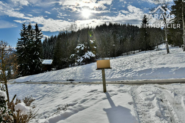 _clients_227445001_photos_206ax_4636971 _clients_227445001_photos_206ax_4636971