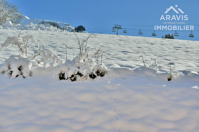 _clients_227445001_photos_218ah_4637179 _clients_227445001_photos_218ah_4637179