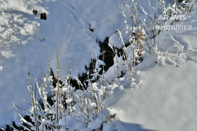 _clients_227445001_photos_218al_4637183 _clients_227445001_photos_218al_4637183