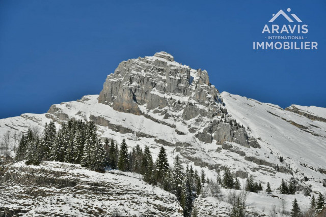 _clients_227445001_photos_218am_4637184 _clients_227445001_photos_218am_4637184