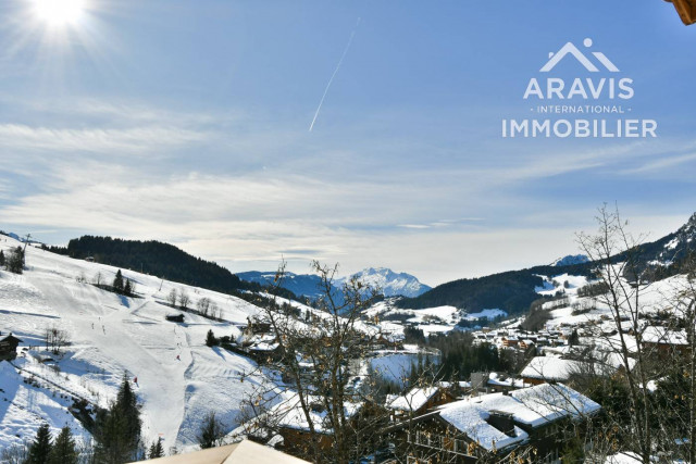 _clients_227445001_photos_235z_4637338