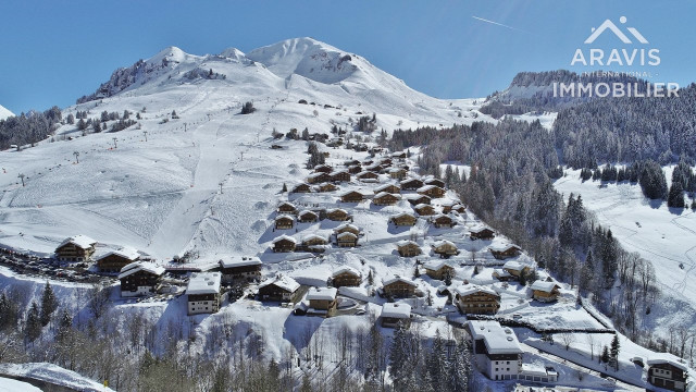 _clients_227445001_photos_33q_4637576 _clients_227445001_photos_33q_4637576