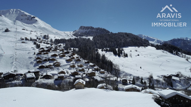 _clients_227445001_photos_33r_4637577 _clients_227445001_photos_33r_4637577