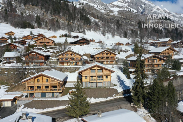 _clients_227445001_photos_47t_4637786 _clients_227445001_photos_47t_4637786