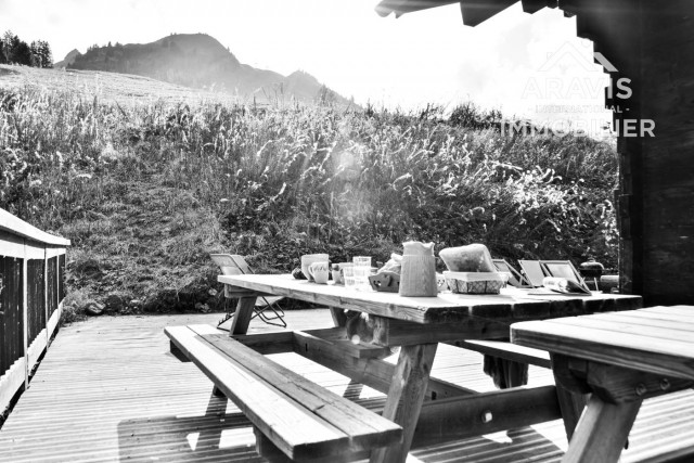 _clients_227445001_photos_48o_4637806 _clients_227445001_photos_48o_4637806