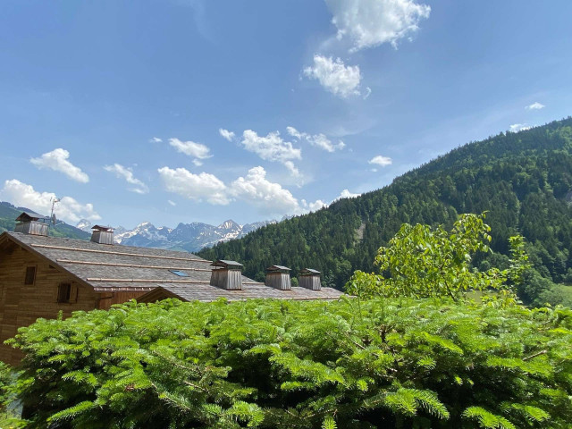 _clients_227445002_photos_10049m_5361044