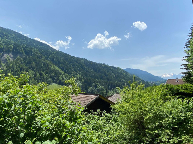 _clients_227445002_photos_10049n_5347444