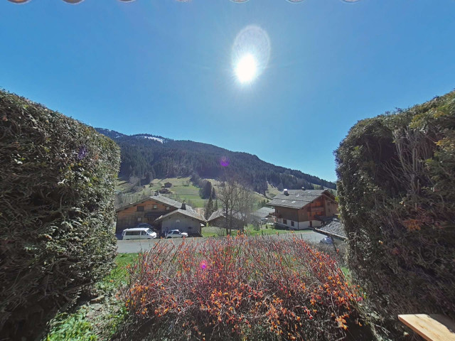 _clients_227445002_photos_10108o_5329450