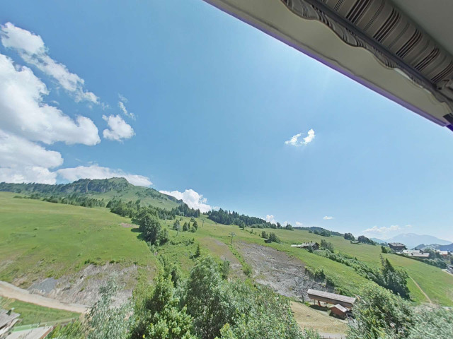 _clients_227445002_photos_10118o_5329487