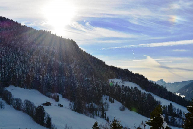 _clients_227445002_photos_10132r_5329544