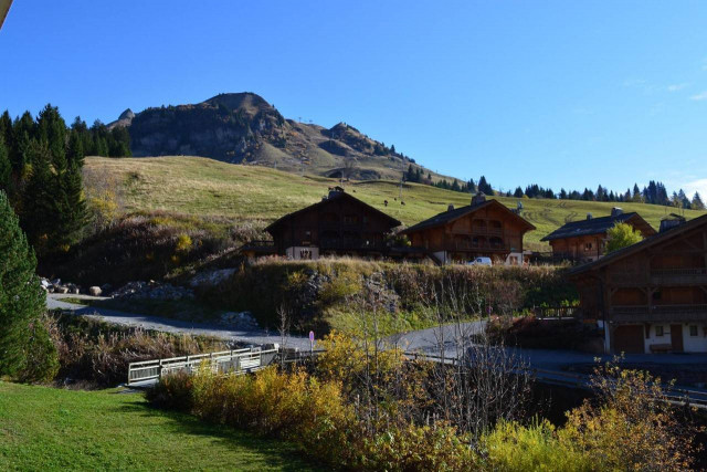 _clients_227445002_photos_10144n_4884453