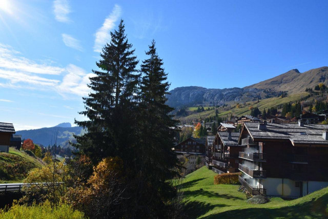 _clients_227445002_photos_10144o_5375125 _clients_227445002_photos_10144o_5375125