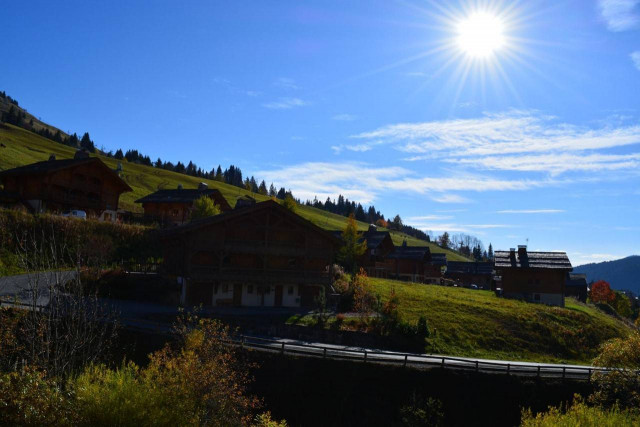 _clients_227445002_photos_10144r_5325042