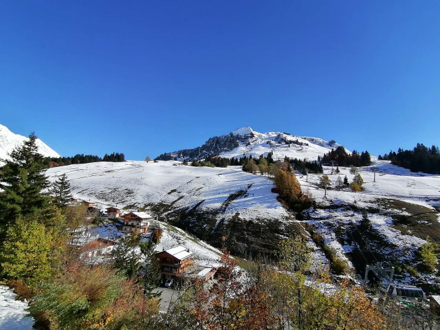 _clients_227445002_photos_10171y_5361386 _clients_227445002_photos_10171y_5361386