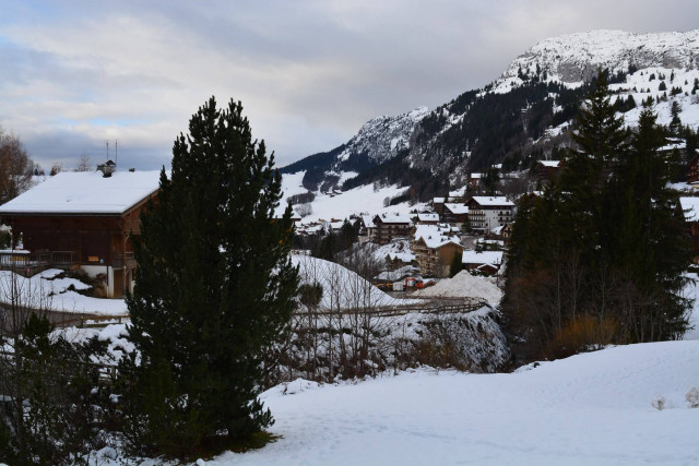 _clients_227445002_photos_10173m_4914918