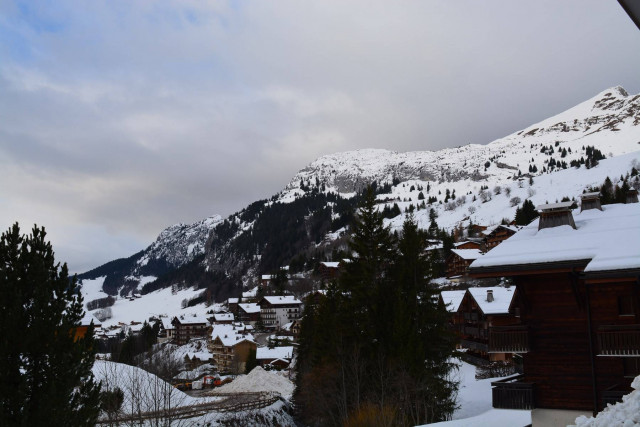 _clients_227445002_photos_10173n_5113728