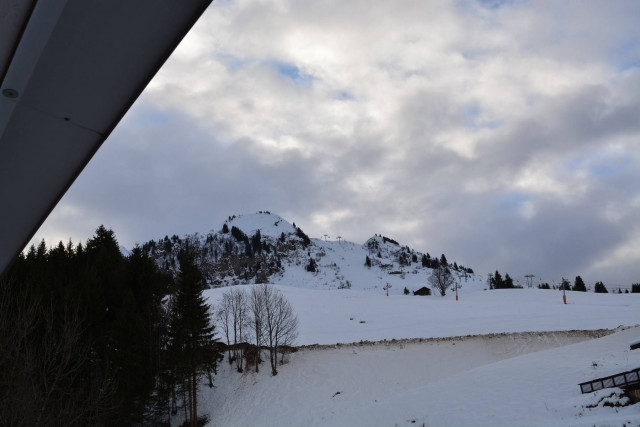 _clients_227445002_photos_10173o_4914920