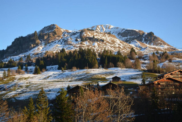 _clients_227445002_photos_10191o_5384796