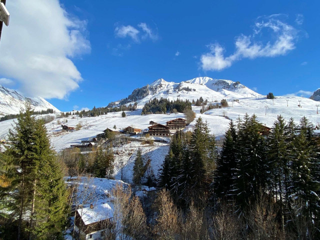 _clients_227445002_photos_14059p_4910770