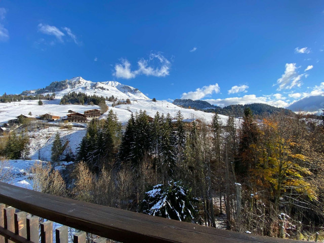 _clients_227445002_photos_14059r_4919452