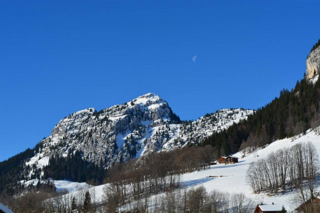 _clients_227445002_photos_9786r_5334571