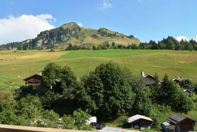 _clients_227445002_photos_9822t_5316038