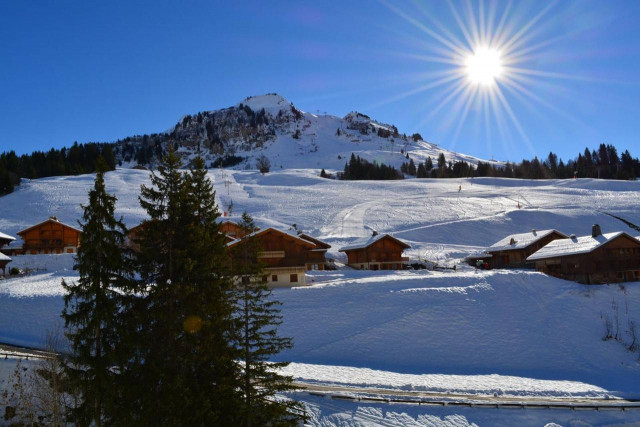 _clients_227445002_photos_9827u_5316078