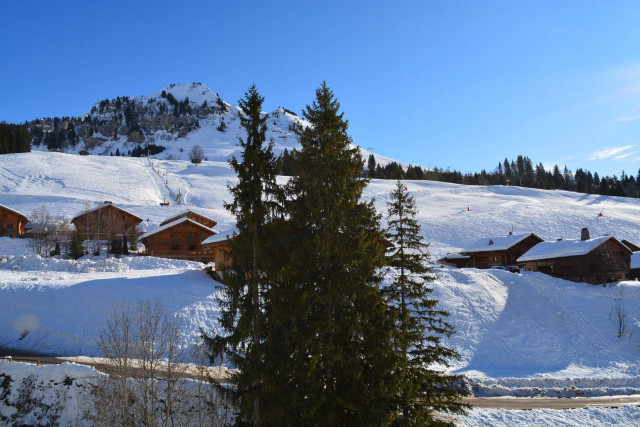 _clients_227445002_photos_9829q_5375807 _clients_227445002_photos_9829q_5375807