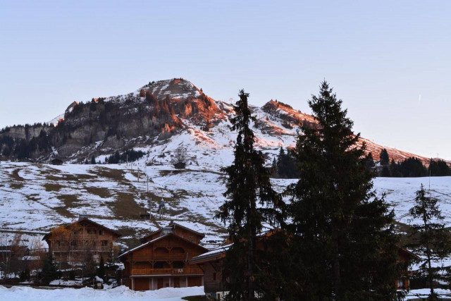 _clients_227445002_photos_9829r_5119932