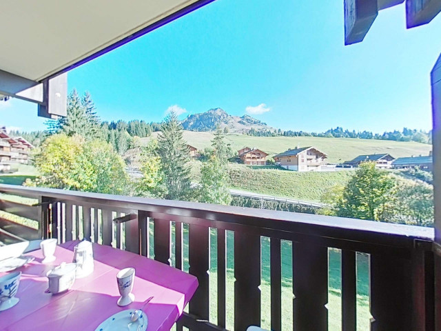 _clients_227445002_photos_9830v_4841932 _clients_227445002_photos_9830v_4841932