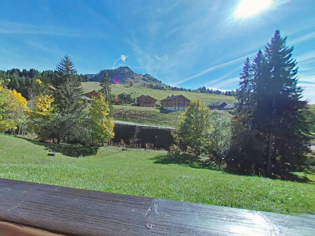 _clients_227445002_photos_9835r_4915483