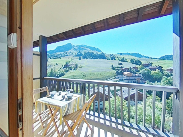 _clients_227445002_photos_9852p_5102724