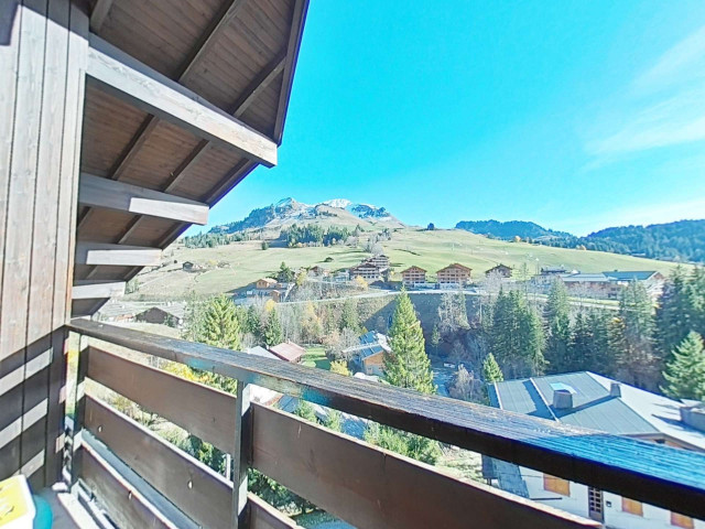 _clients_227445002_photos_9868r_4716770 _clients_227445002_photos_9868r_4716770