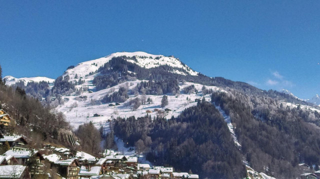 _clients_227445002_photos_9873x_5098246 _clients_227445002_photos_9873x_5098246