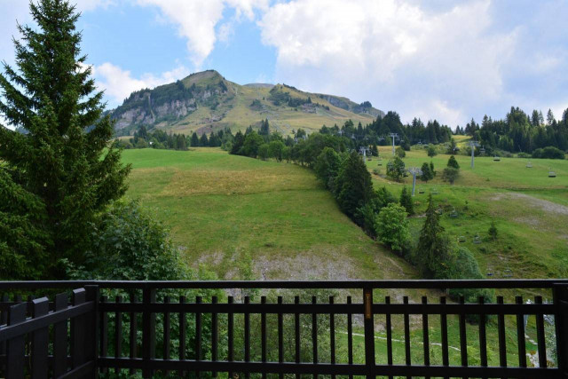 _clients_227445002_photos_9894m_4720935 _clients_227445002_photos_9894m_4720935