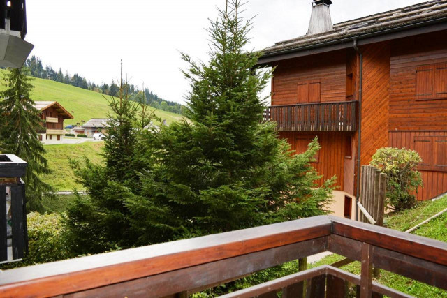 _clients_227445002_photos_9920v_4885512