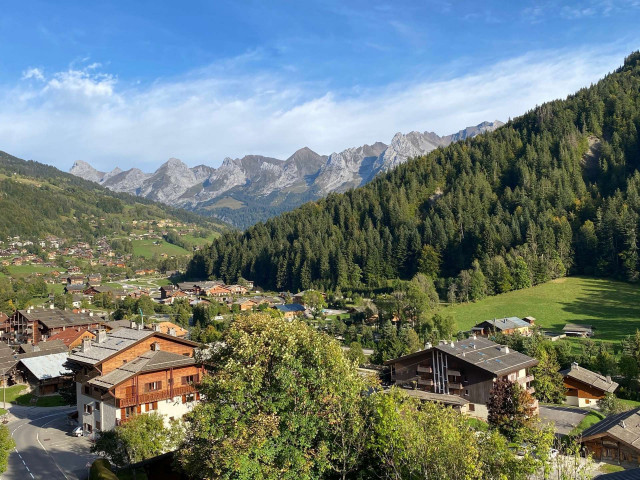 _clients_227445002_photos_9942p_5311965