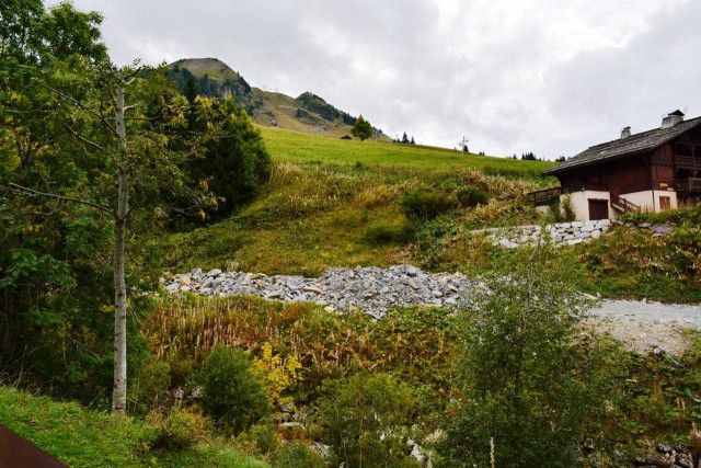 _clients_227445002_photos_9946l_4676084 _clients_227445002_photos_9946l_4676084