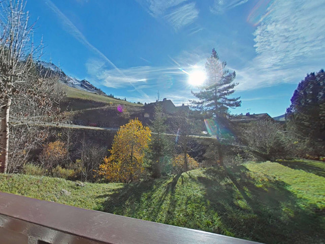 _clients_227445002_photos_9946q_5376406