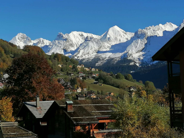 _clients_227445002_photos_9961o_5335414