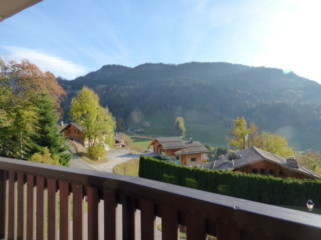 _clients_227445005_photos_105n_5376695