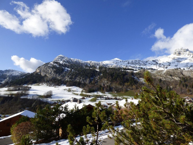 _clients_227445005_photos_10h_5115667