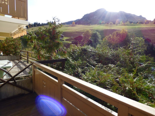 _clients_227445005_photos_129k_5331335