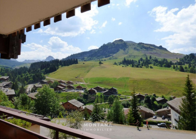 _clients_227445005_photos_134l_4920904